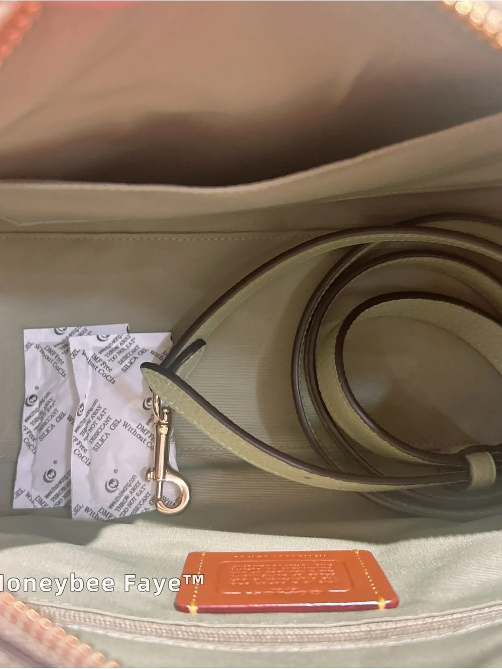 NWT Coach Rowan Satchel Bag In Signature Leather CEW03 Gold/Pistachio